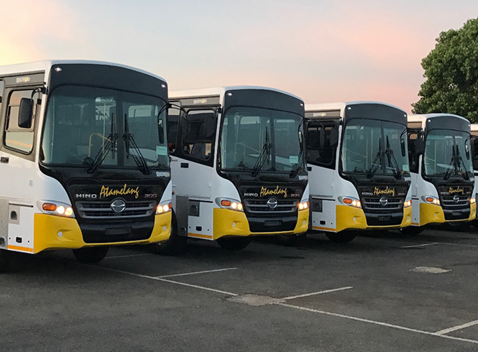 Busco Predator gallery 7